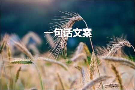 盘锦广告发票 句子文案:一句话文案